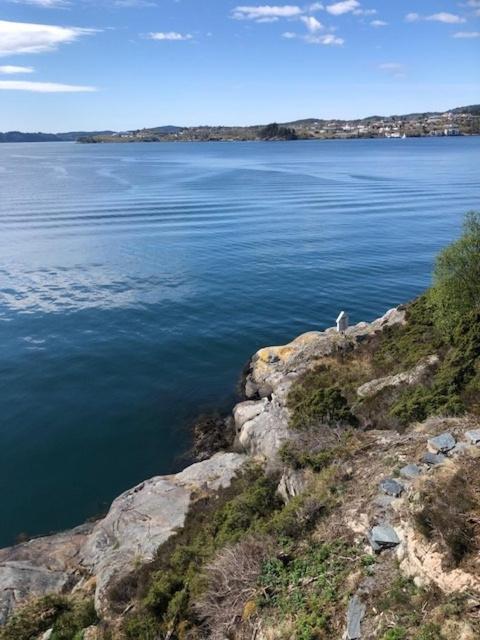 Koselig Nyoppusset 3 Roms Leilighet Med Egen Parkeringsplass I Rolige Omgivelse Naer Sjoen, 2 Mil Nord For Bergen Sentrum. Exterior foto